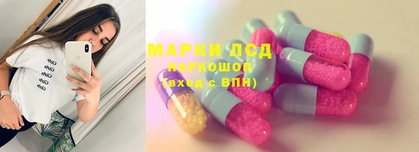 спайс Гатчина