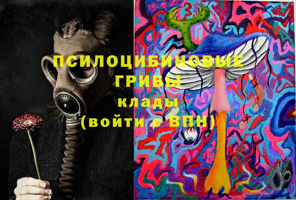 шишки Абдулино