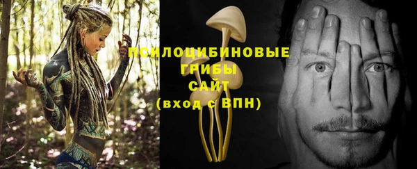 каннабис Алексин
