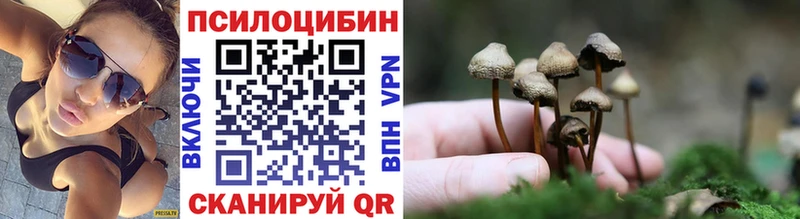 Псилоцибиновые грибы мицелий Ивдель
