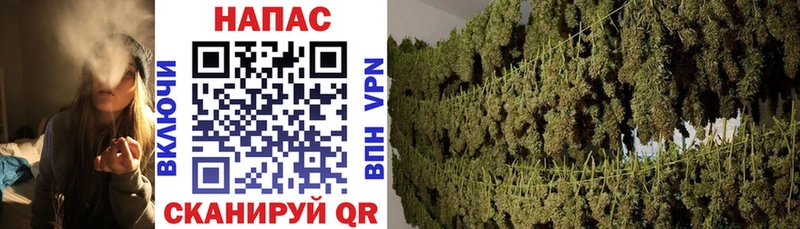 наркошоп  mega вход  МАРИХУАНА SATIVA & INDICA  Ивдель 